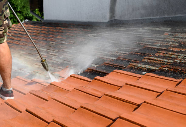 Best Concrete Pressure Washing  in Fremont, NE